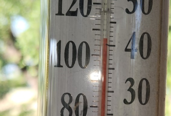 A thermometer shows temperatures above 100° in Florence on June 20, 2023. (Courtesy Shelly Mills)